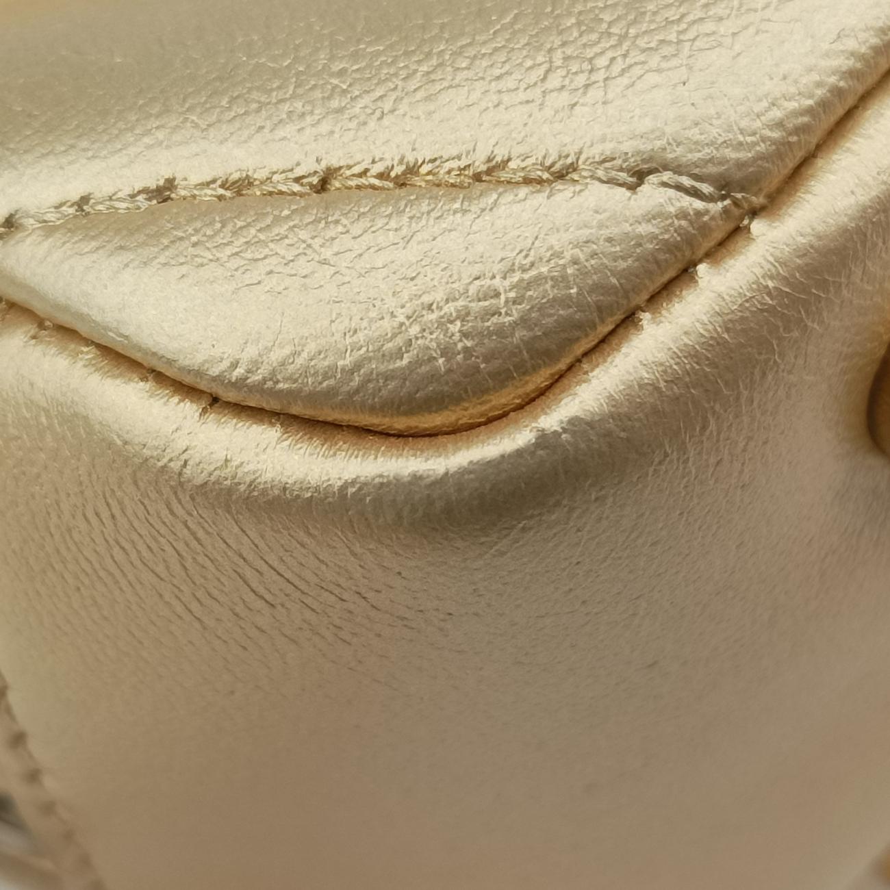 Chevron Camera Multicolour lambskin 20977640