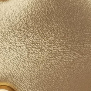 Chevron Camera Multicolour lambskin 20977640