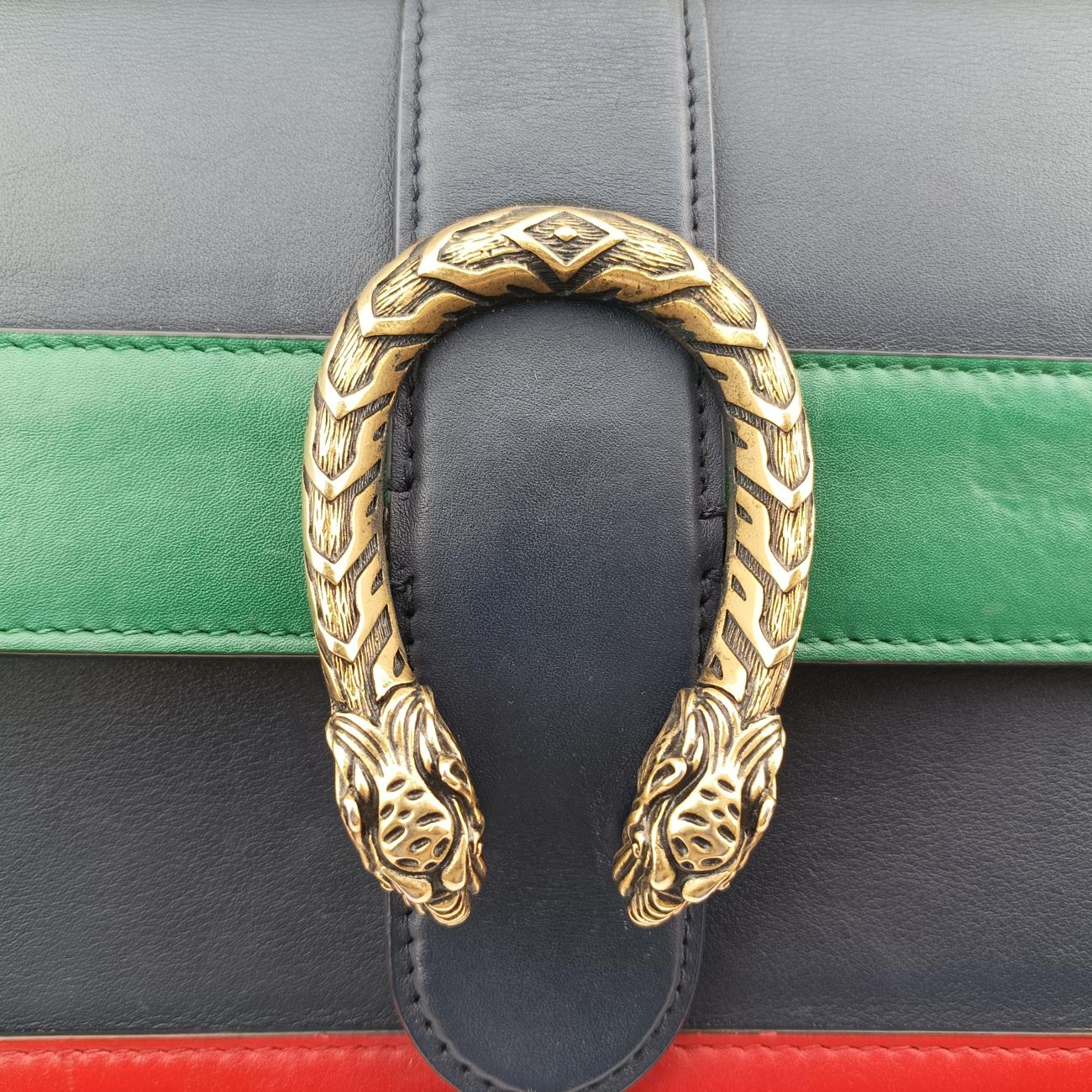 Dionysus Multicolour Leather D022031867