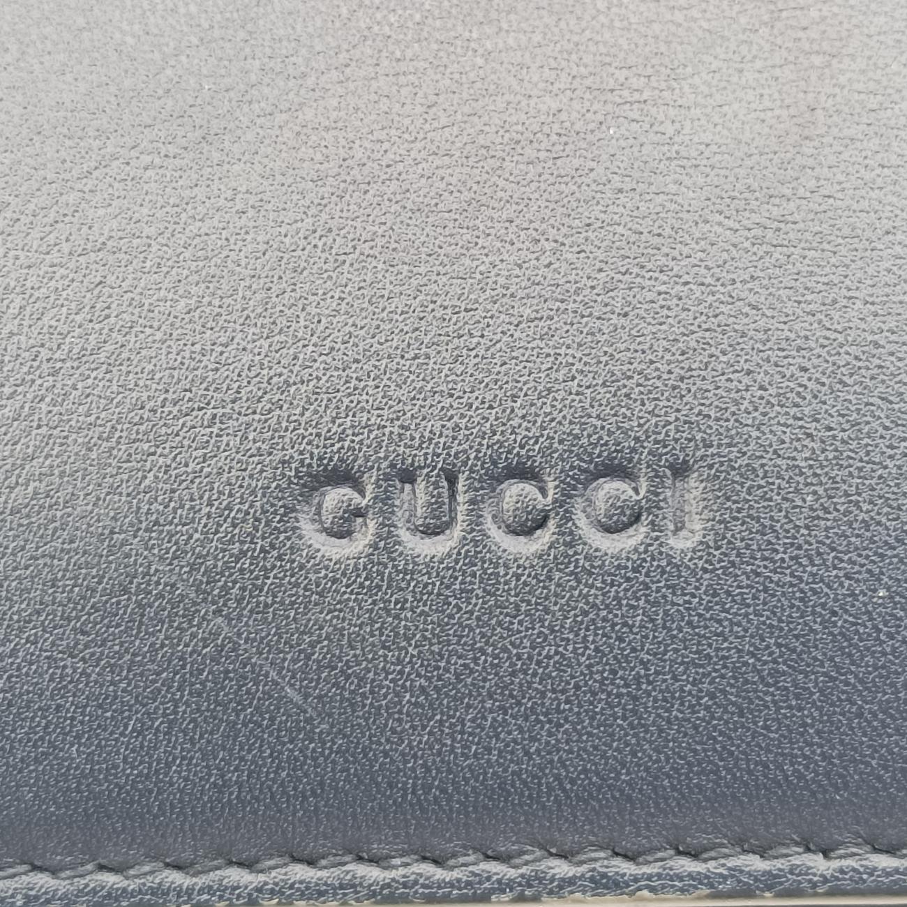 Dionysus Multicolour Leather D022031867