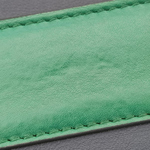 Dionysus Multicolour Leather D022031867