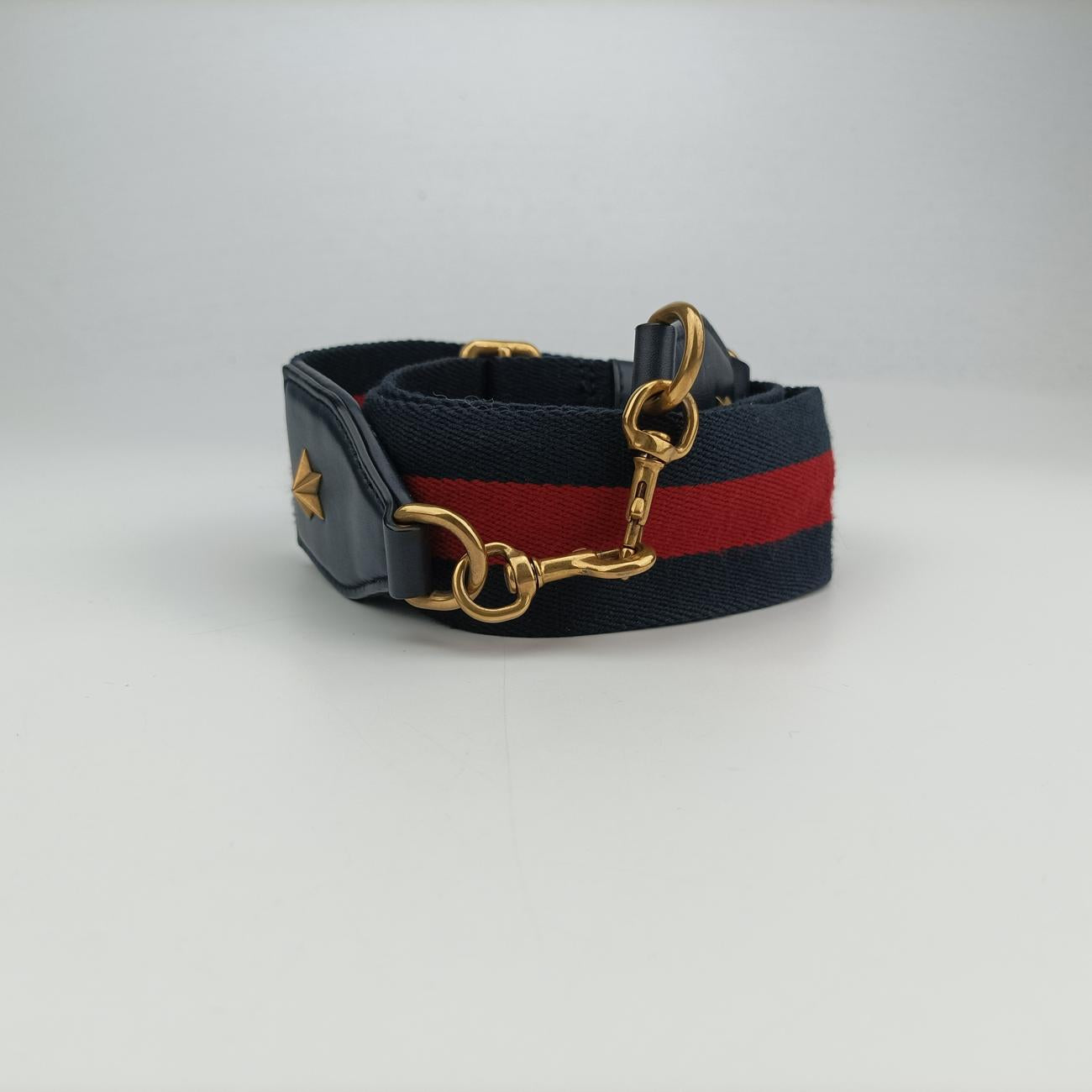 Dionysus Multicolour Leather D022031867
