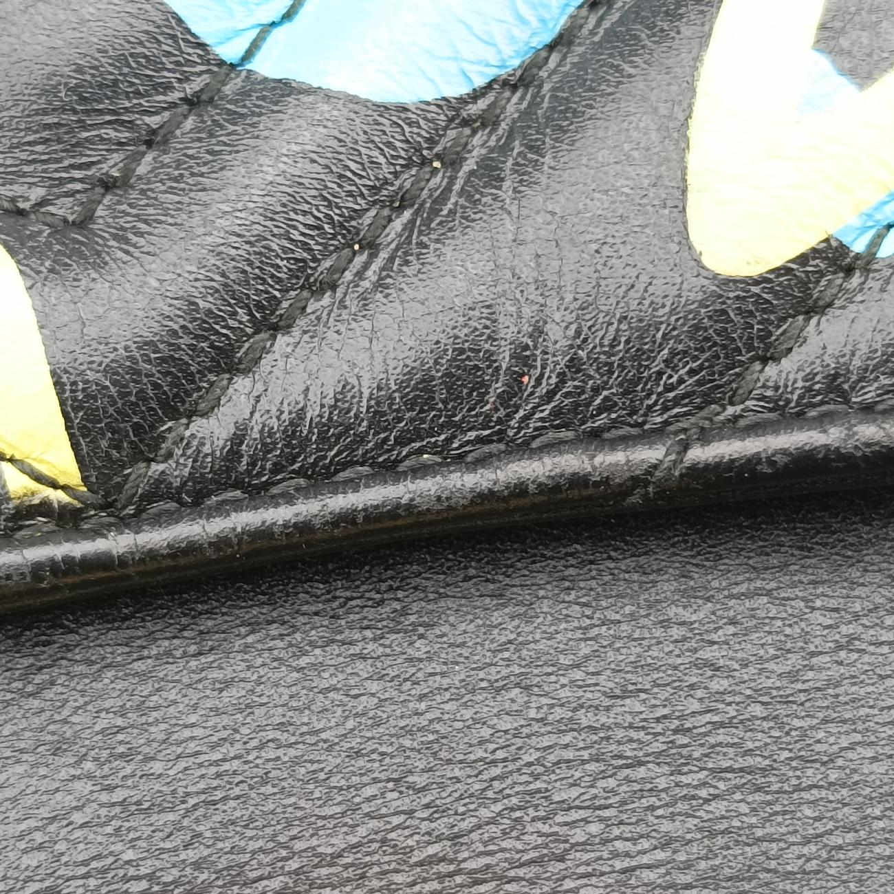 GG Marmont Multicolour Leather F020354733