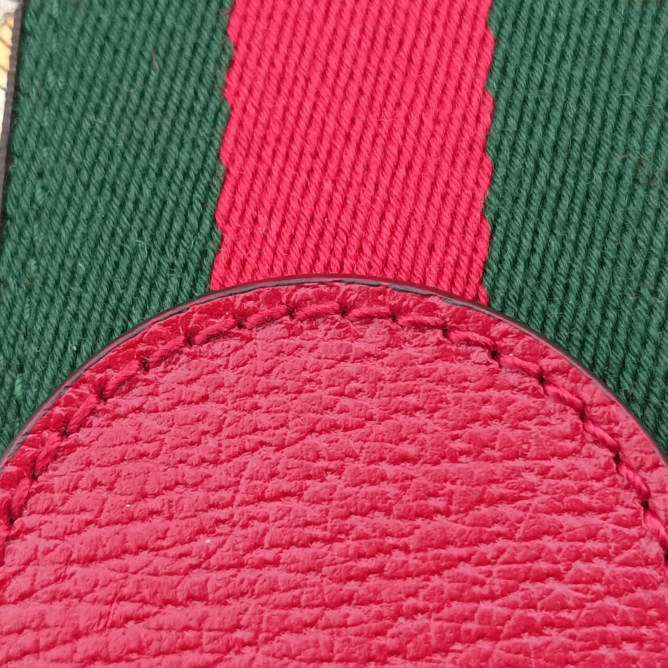Ophidia Multicolour PVC coated canvas×Leather D030590790