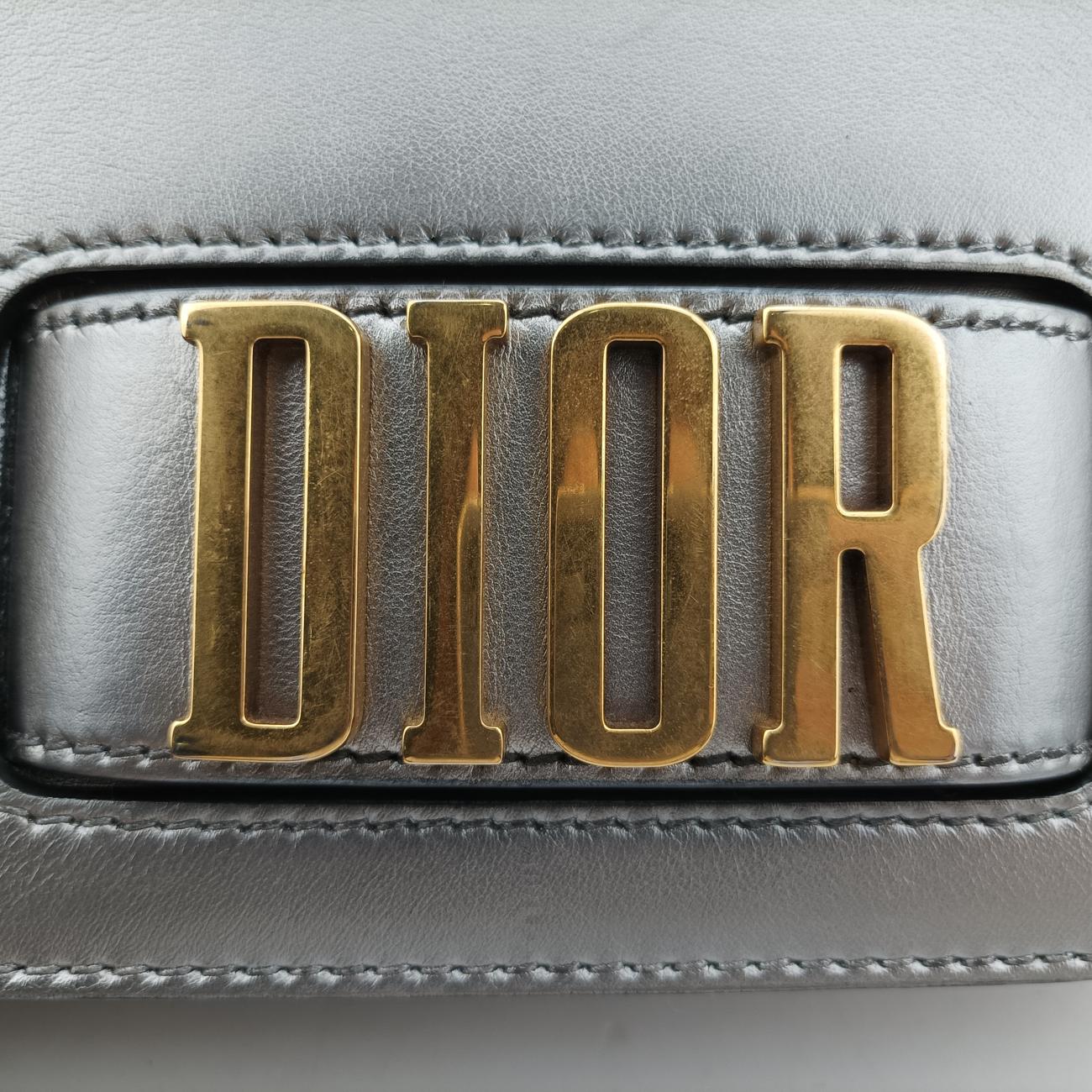 Diorevolution Silver Leather 19-MA-0147
