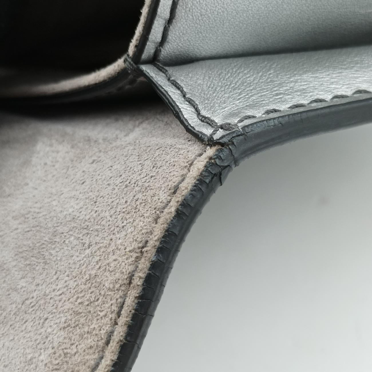 Diorevolution Silver Leather 19-MA-0147
