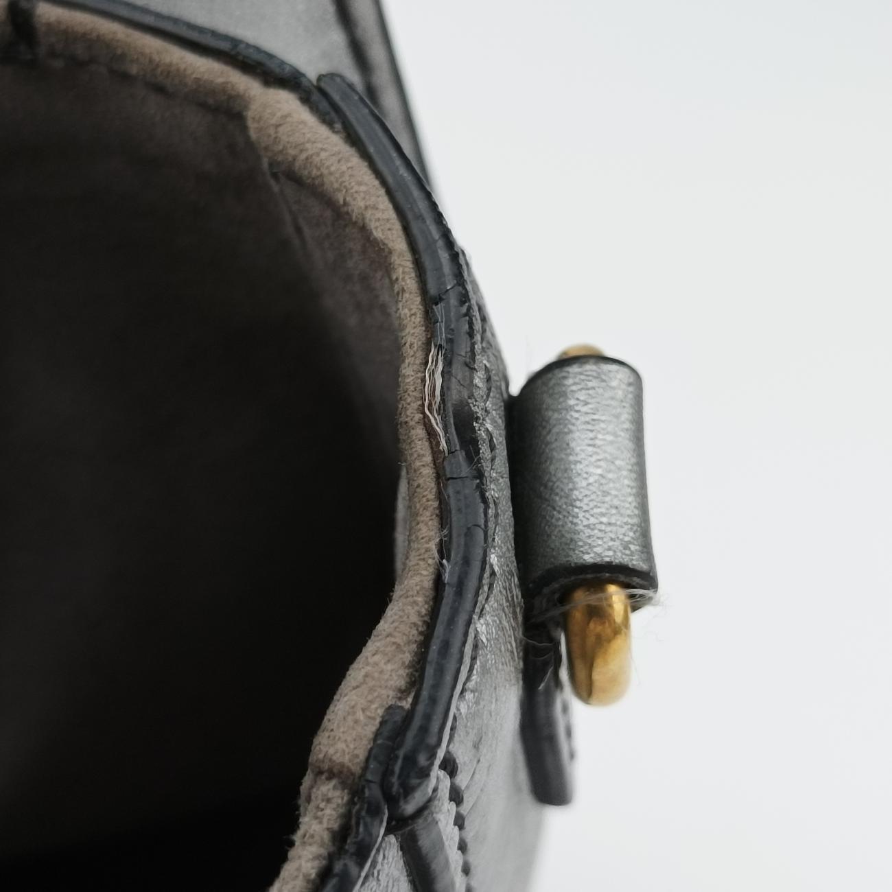 Diorevolution Silver Leather 19-MA-0147