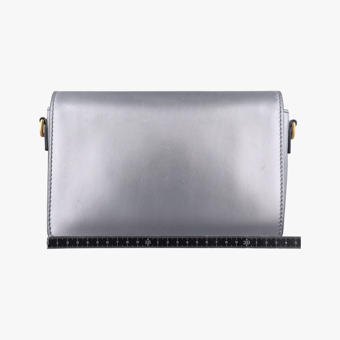 Diorevolution Silver Leather 19-MA-0147
