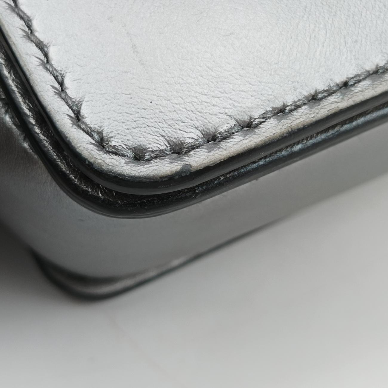 Diorevolution Silver Leather 19-MA-0147