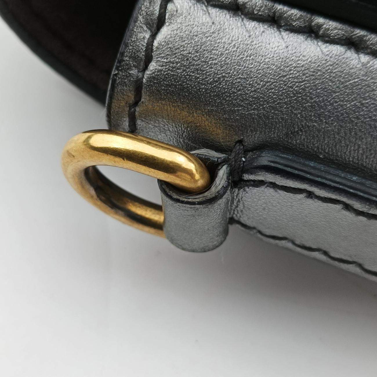 Diorevolution Silver Leather 19-MA-0147