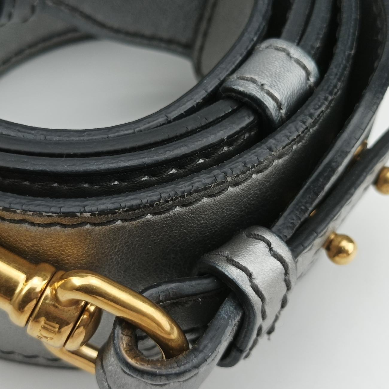 Diorevolution Silver Leather 19-MA-0147