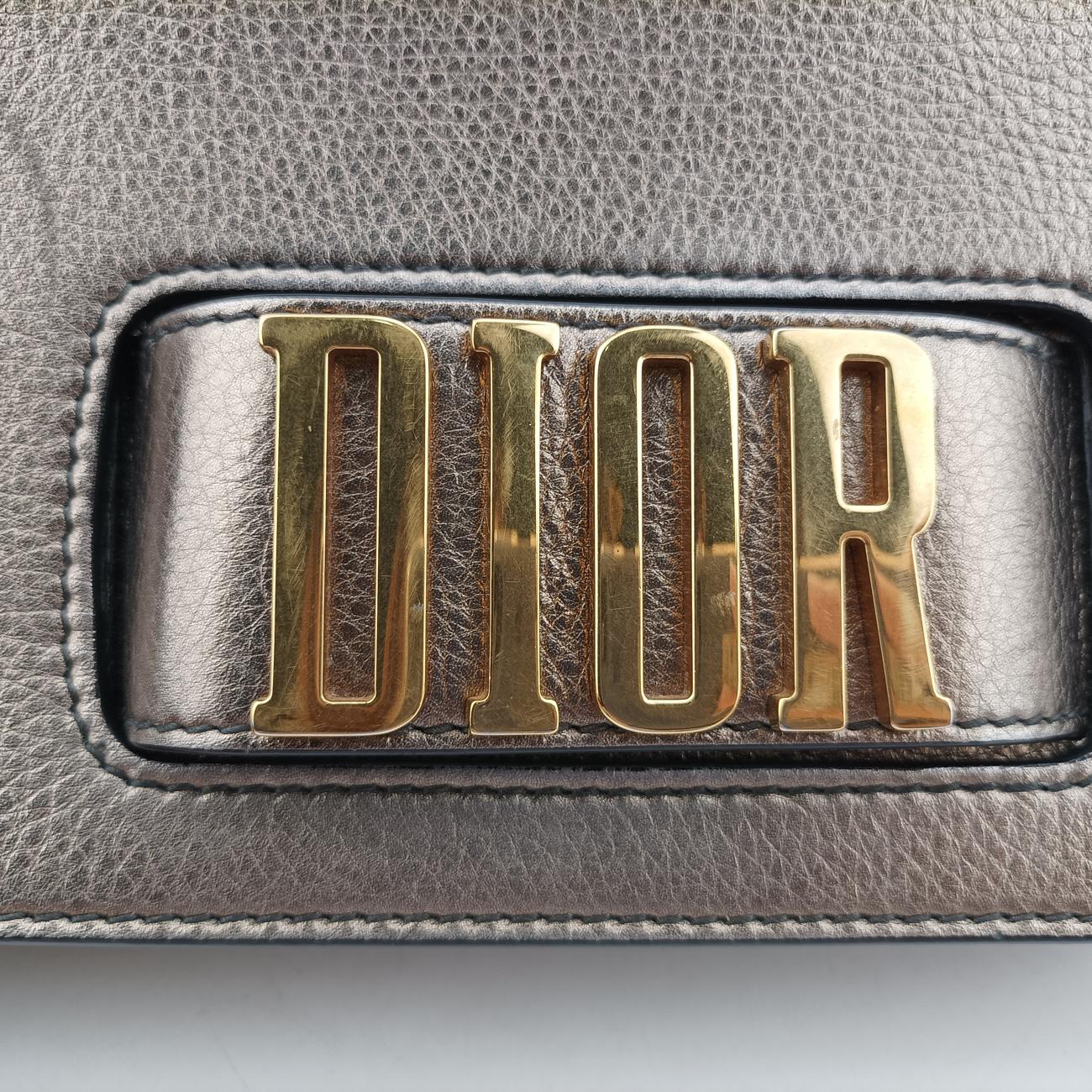 Diorevolution Golden Leather 19-MA-0158