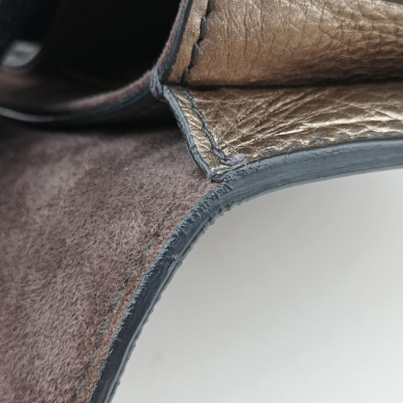 Diorevolution Golden Leather 19-MA-0158
