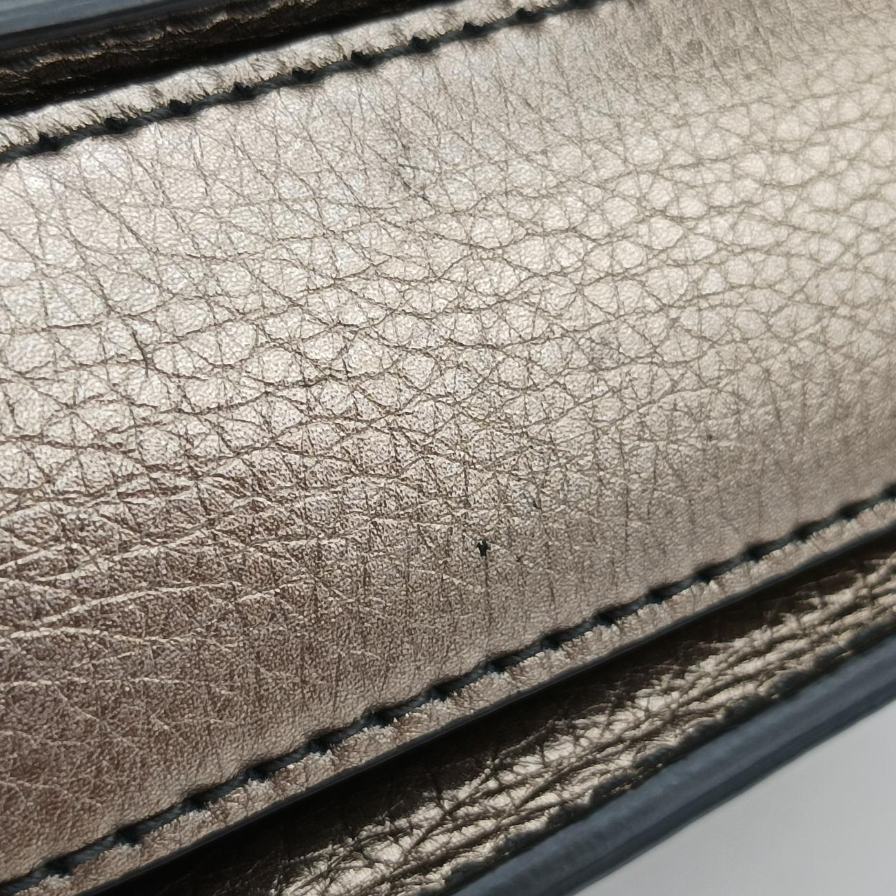 Diorevolution Golden Leather 19-MA-0158
