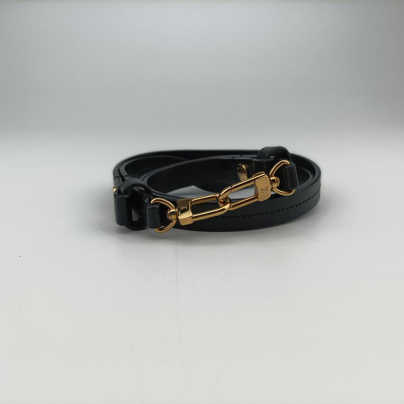 Padlock on strap Brown×Noir  Monogram canvas×leather ICチップ