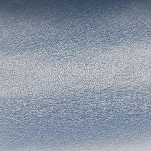 Broadway Pearl Bee Blue Leather D022501839