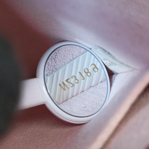 SPRING STREET PM ROSE BALLERINE Vernis×Monogram Canvas NZ3189