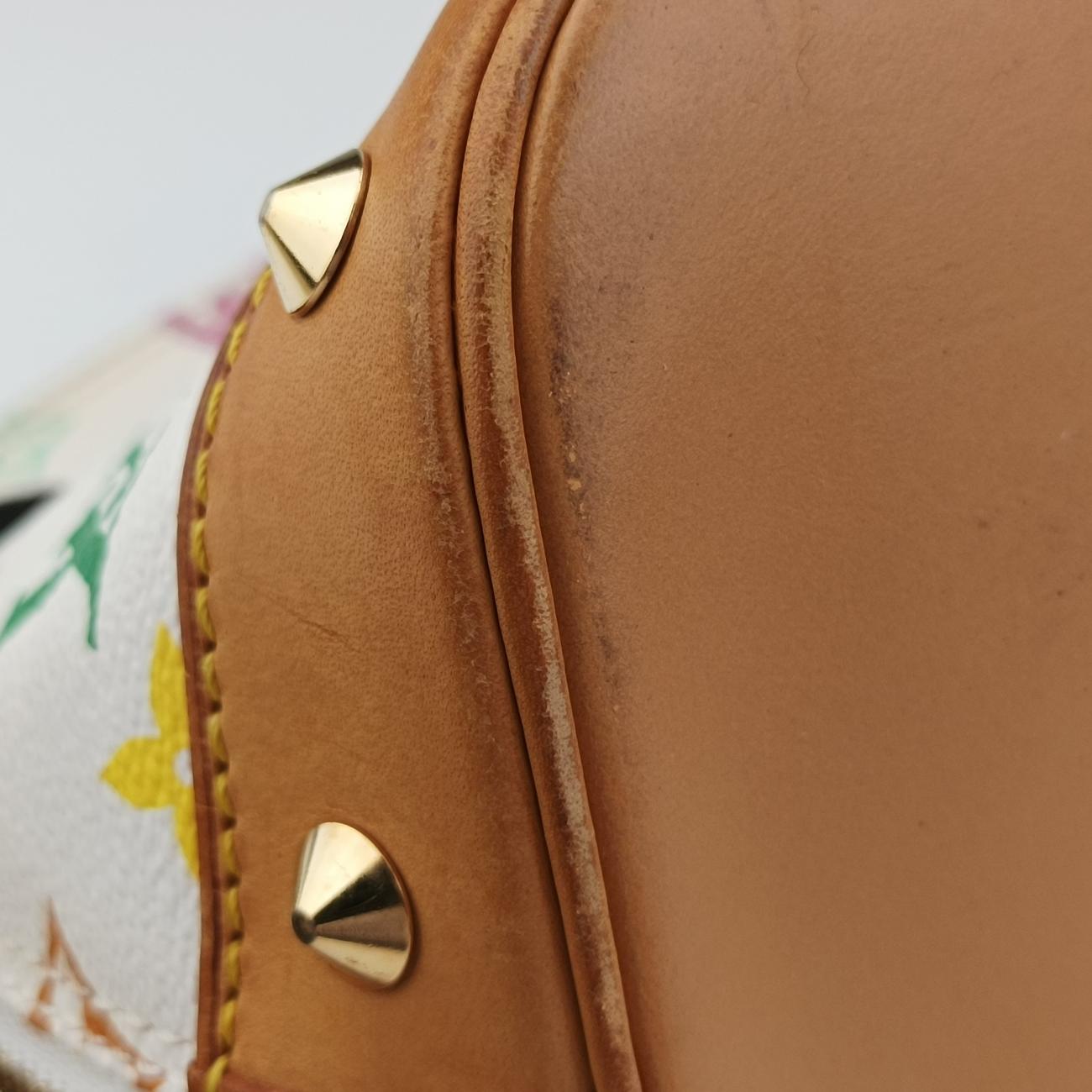 Alma PM white Monogram Multicolor FL0054