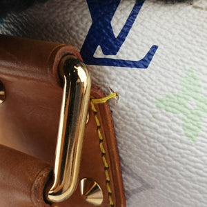 Alma PM white Monogram Multicolor FL0054