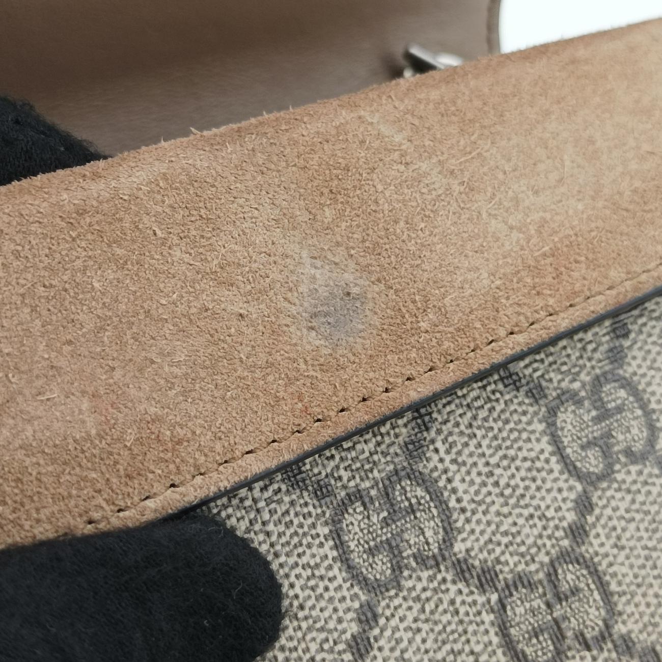 Dionysus Beige×Brown PVC coated canvas × suede