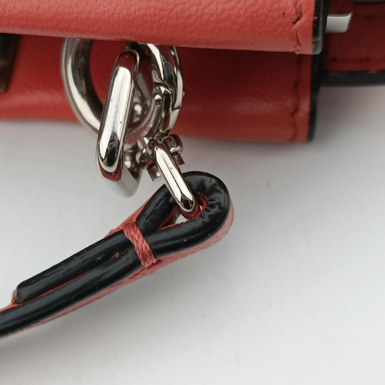 Micro Peekaboo Orange lambskin 8M0355-S3Z-169-10429