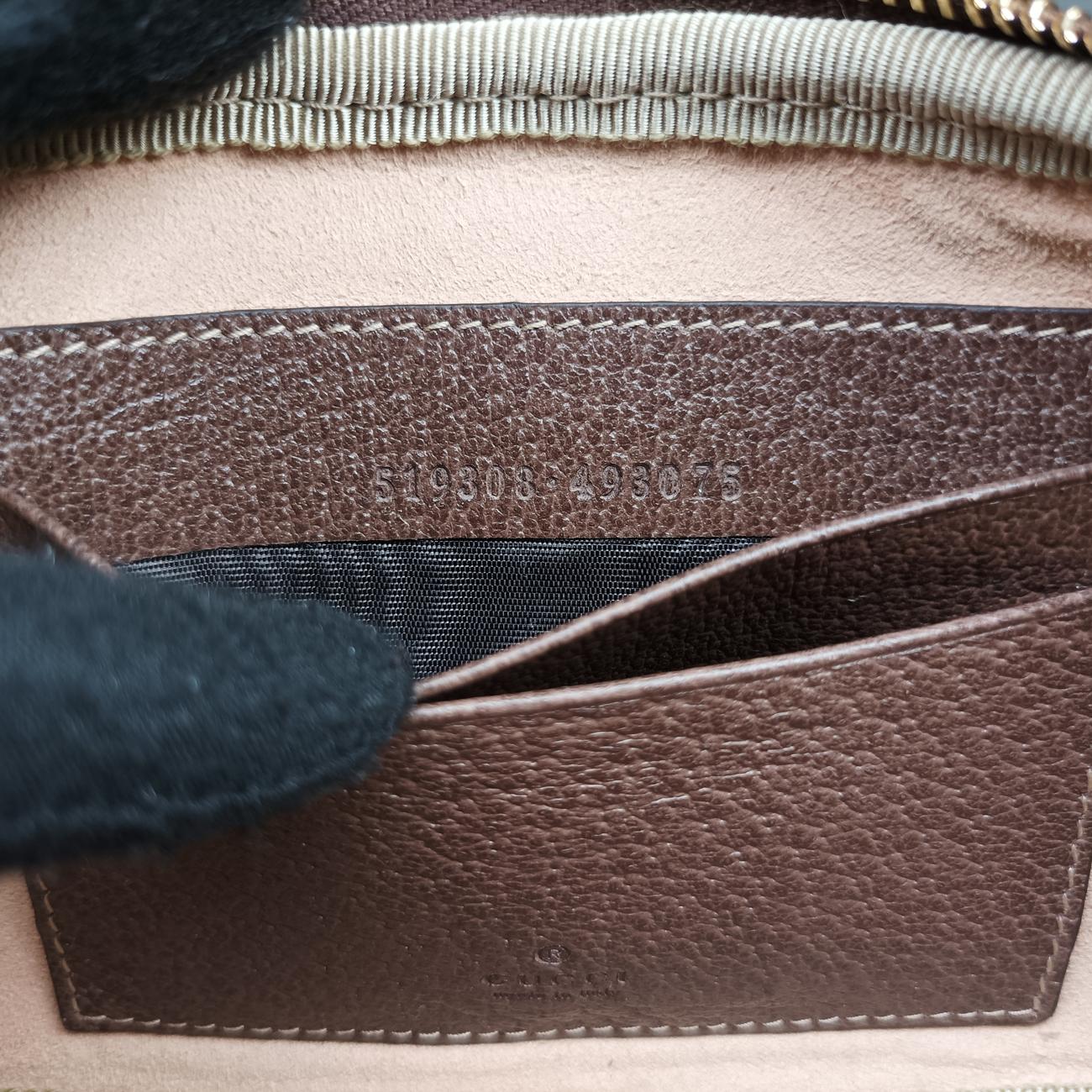 Ophidia Brown×Multicolour PVC coated canvas x leather