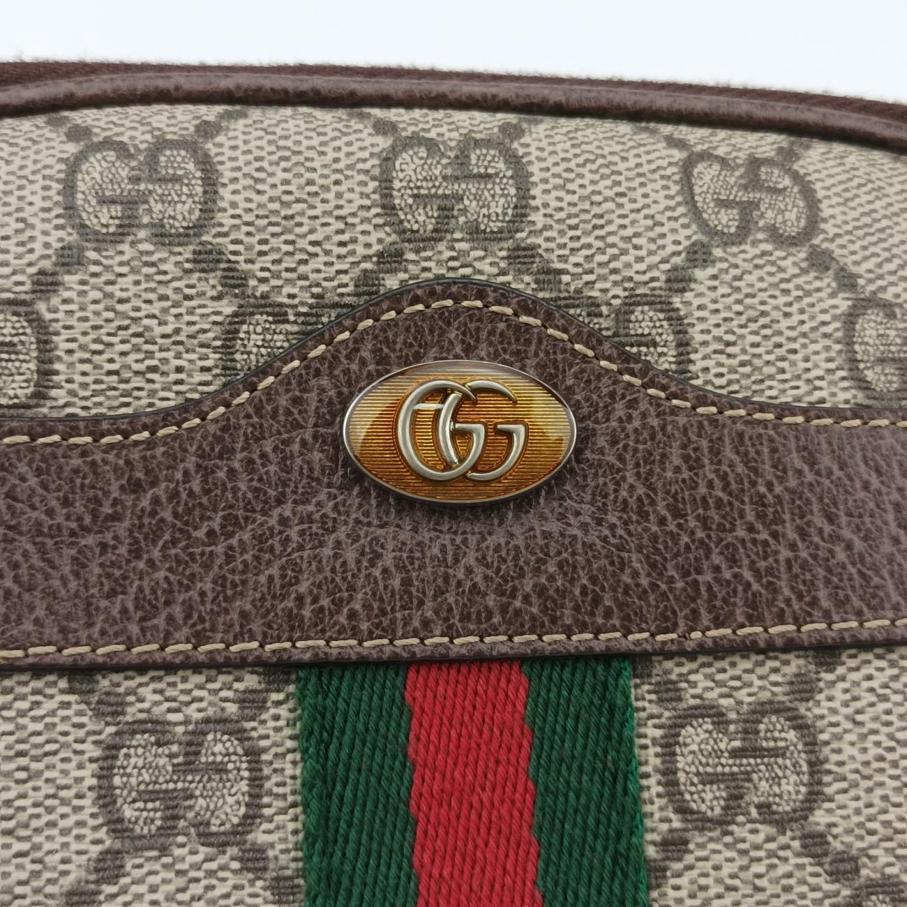Ophidia Brown×Multicolour PVC coated canvas x leather