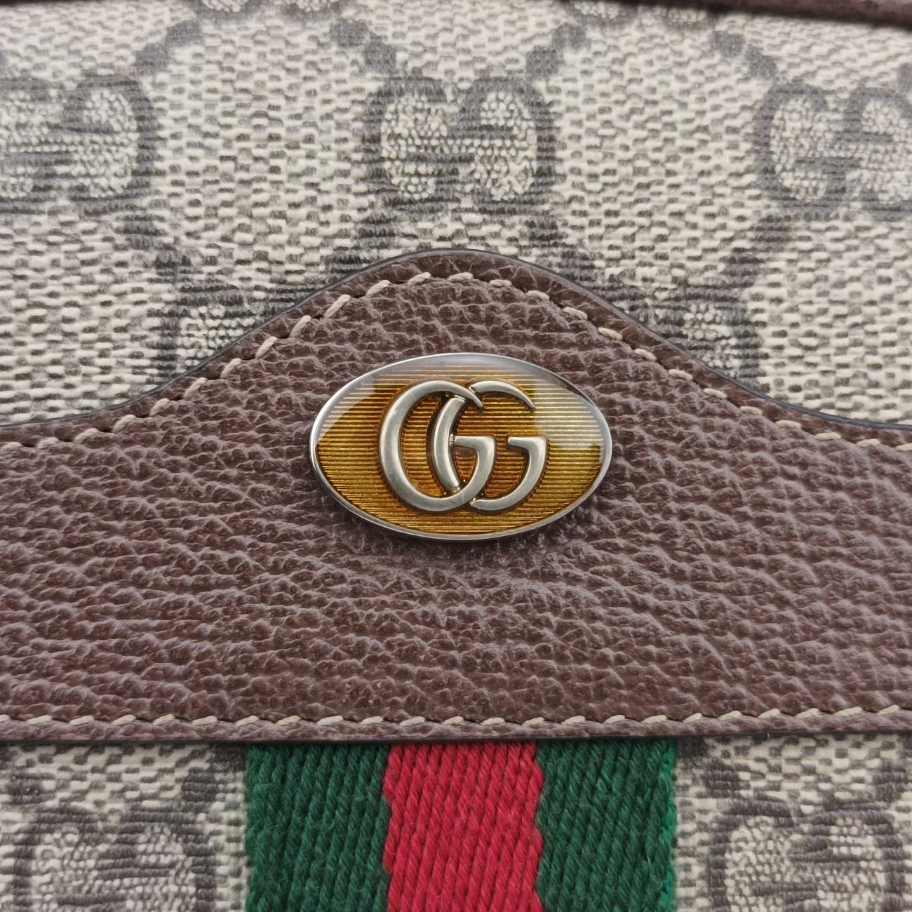 Ophidia Brown×Multicolour PVC coated canvas x leather