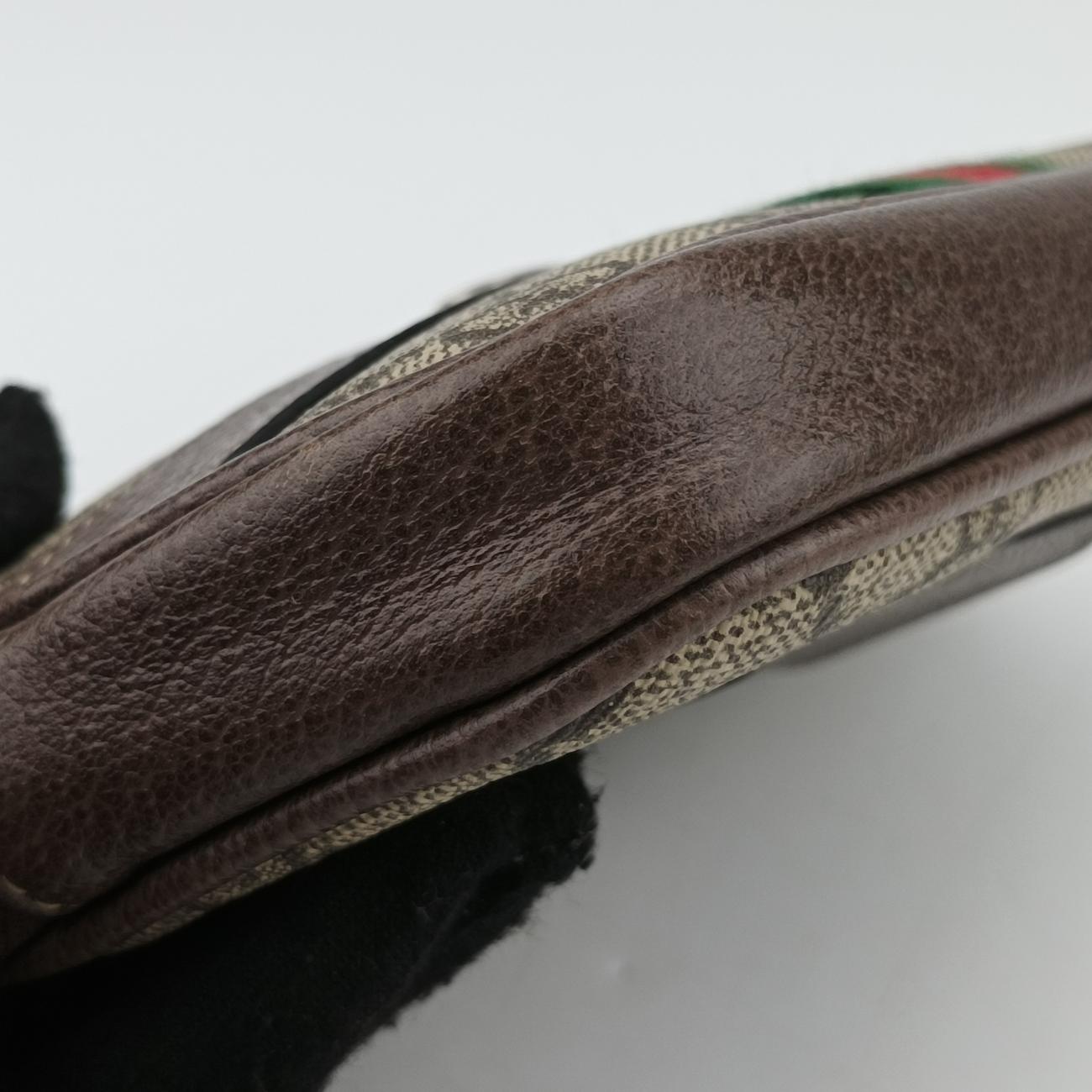 Ophidia Brown×Multicolour PVC coated canvas x leather