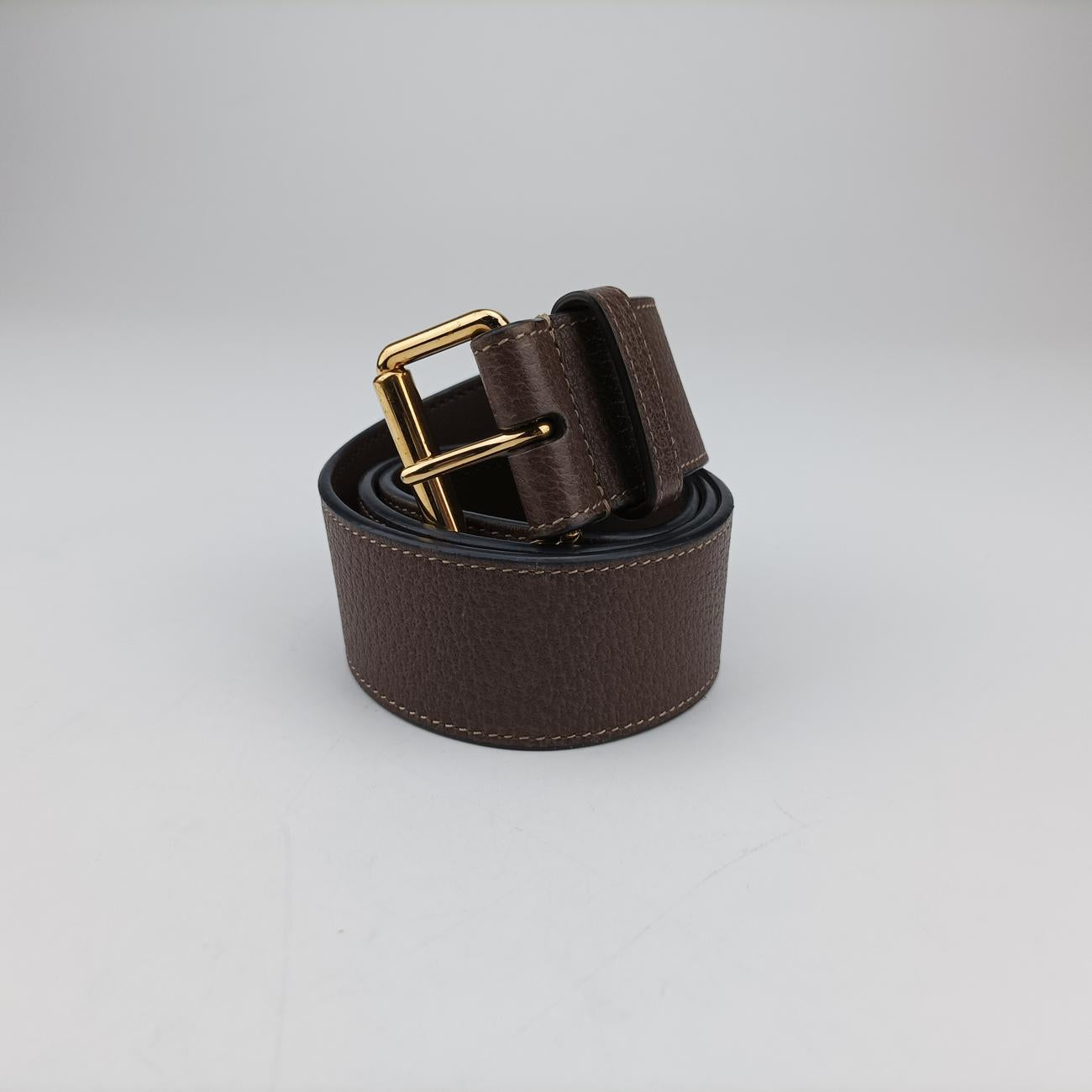 Ophidia Brown×Multicolour PVC coated canvas x leather