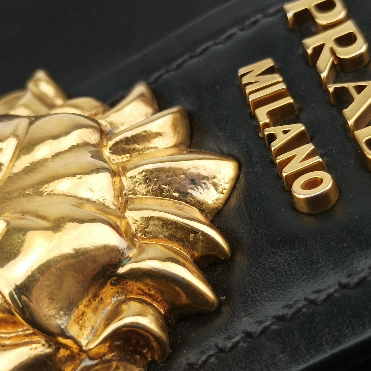 Animalier Cahier Lions Head Black Leather 25