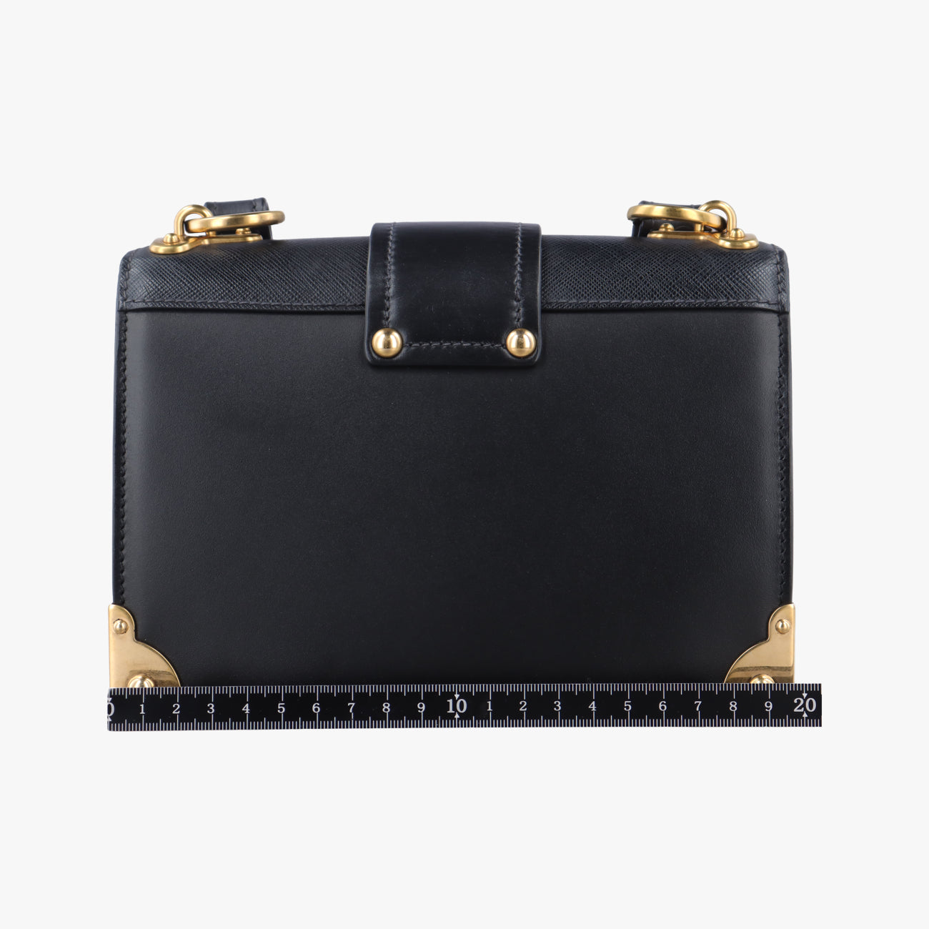 Animalier Cahier Lions Head Black Leather 25