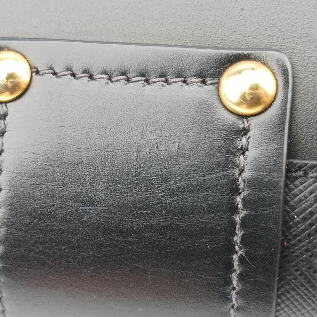 Animalier Cahier Lions Head Black Leather 25
