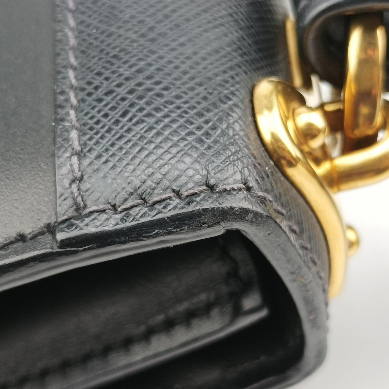 Animalier Cahier Lions Head Black Leather 25