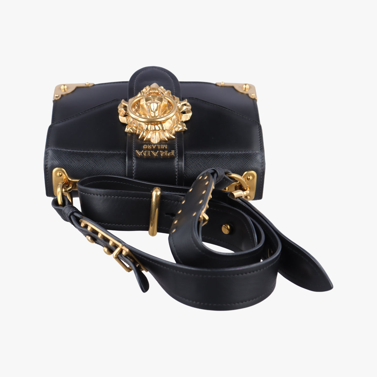 Animalier Cahier Lions Head Black Leather 25