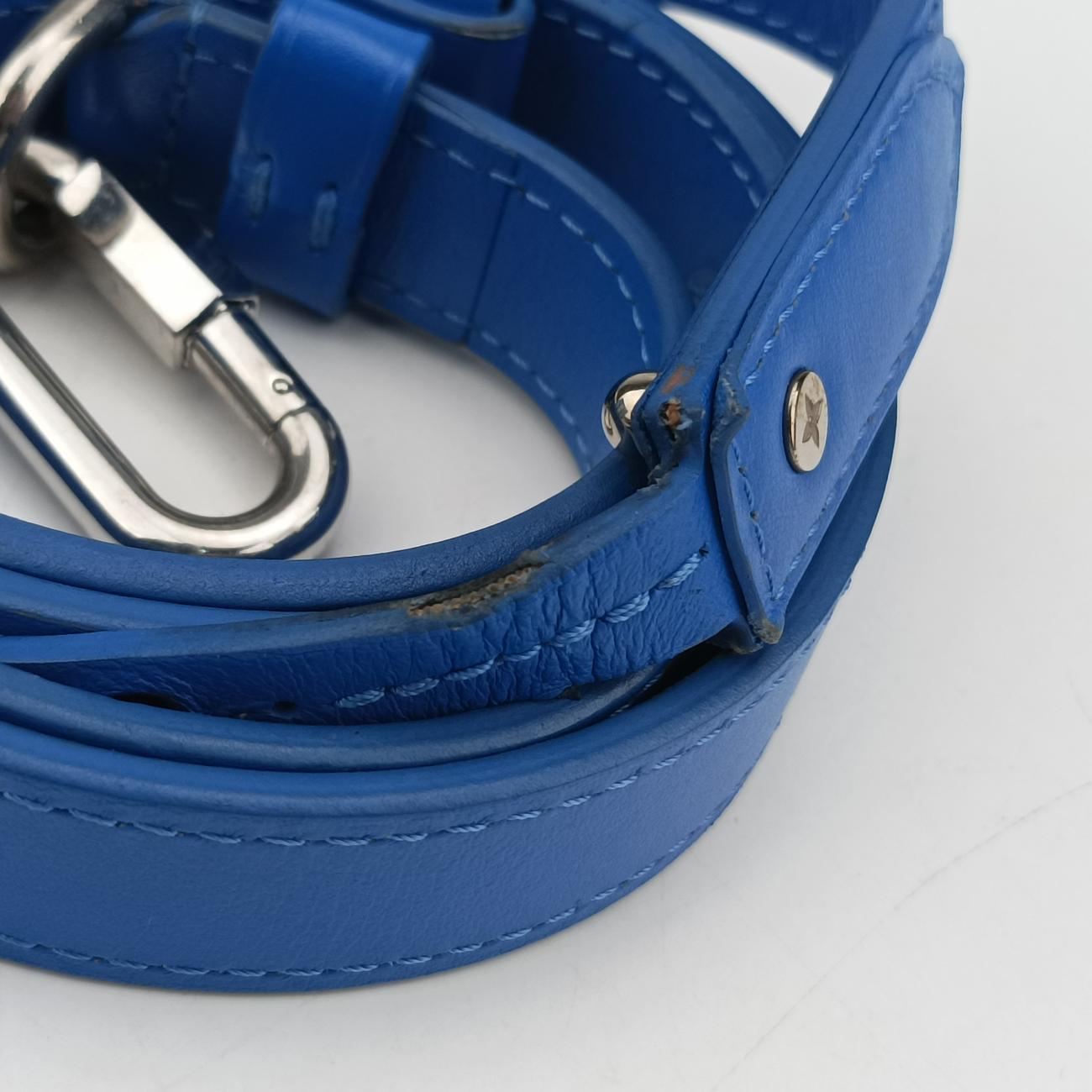 Monogram Clouds Blue × White PVC coated canvas x leather TJ3200 ICチップ