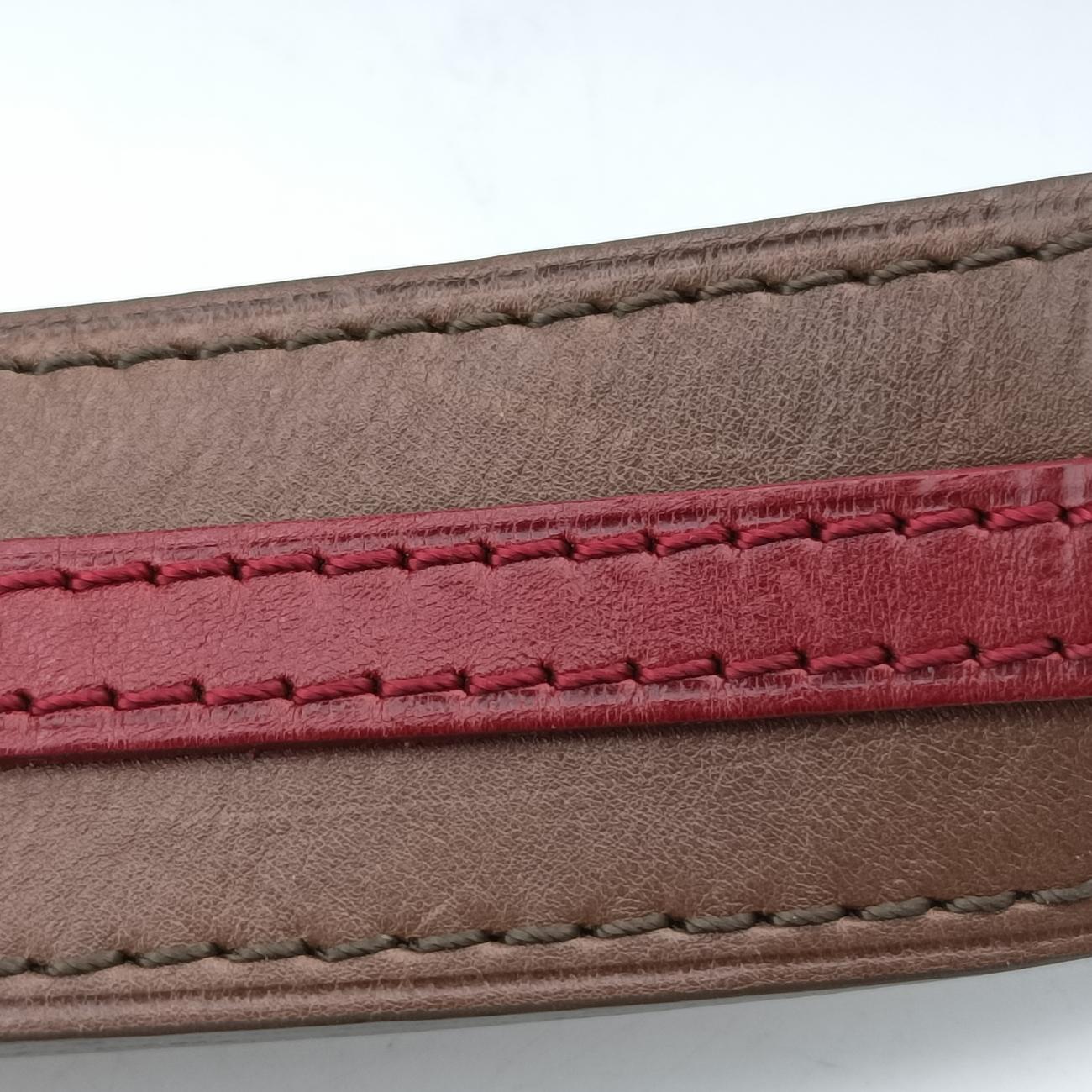 2010 Collection Aviator Gray×Red×Brown Canvas ×Leather TJ1160