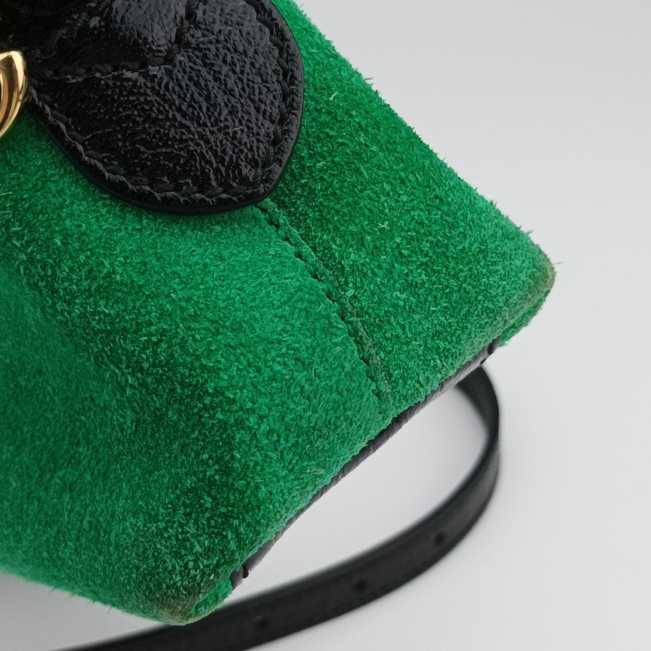 Ophidia Green×Red×black suede G023571545