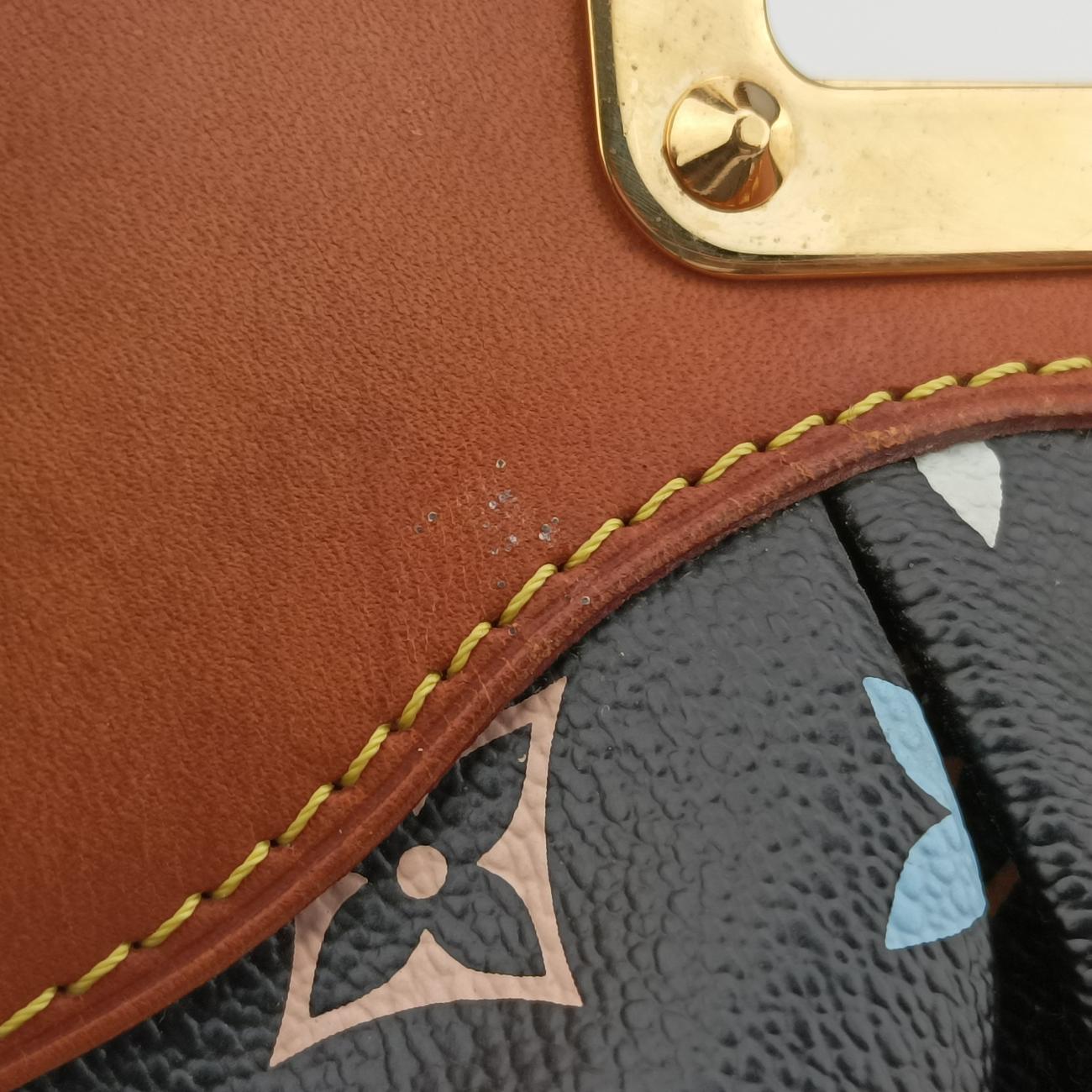 JUDY PM Noir Monogram Multicolor TH5019