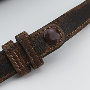 GG Supreme Ophidia Brown PVC coated canvas