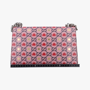 Dionysus Pink×multicolor Leather H031480472