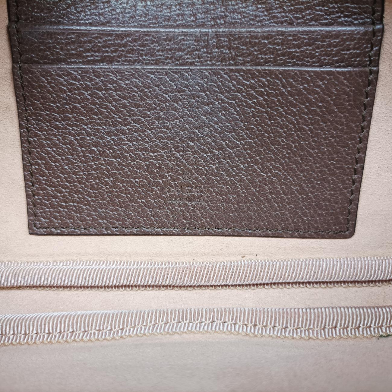 Ophidia Brown×green×red PVC coated canvas x leather