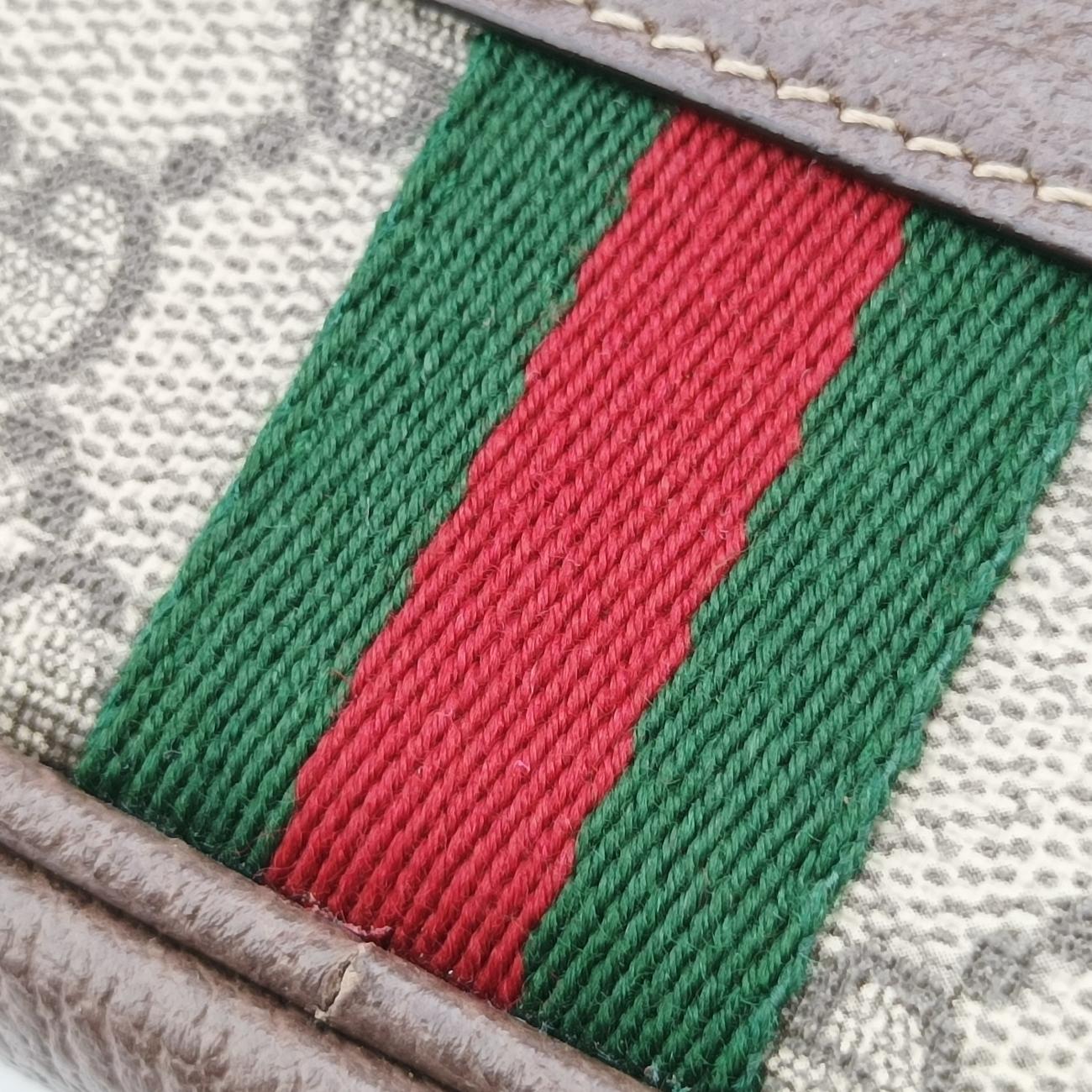 Ophidia Brown×green×red PVC coated canvas x leather