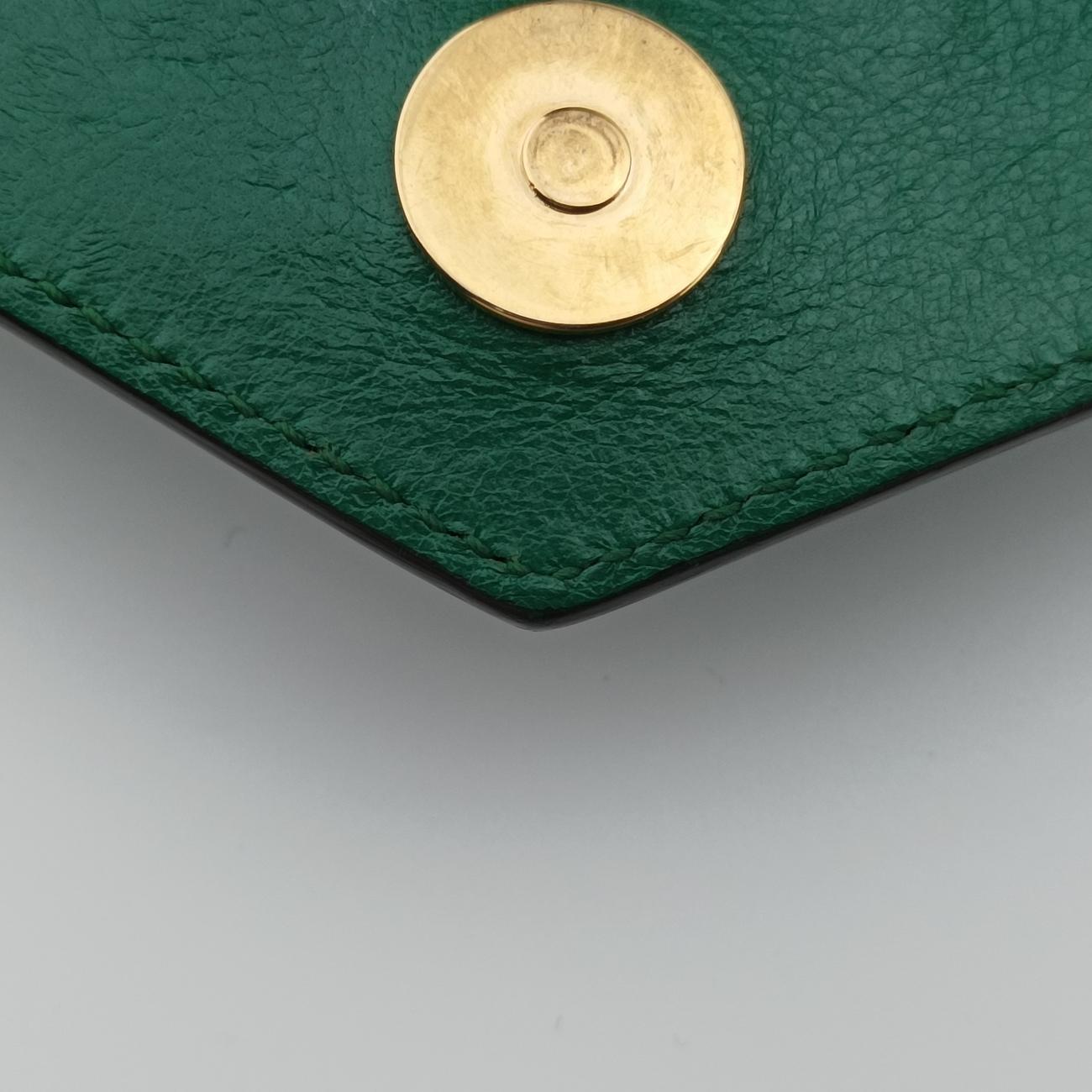 Thiara Envelope Animalier Green Leather E025648748