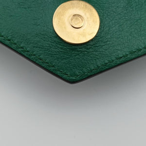 Thiara Envelope Animalier Green Leather E025648748