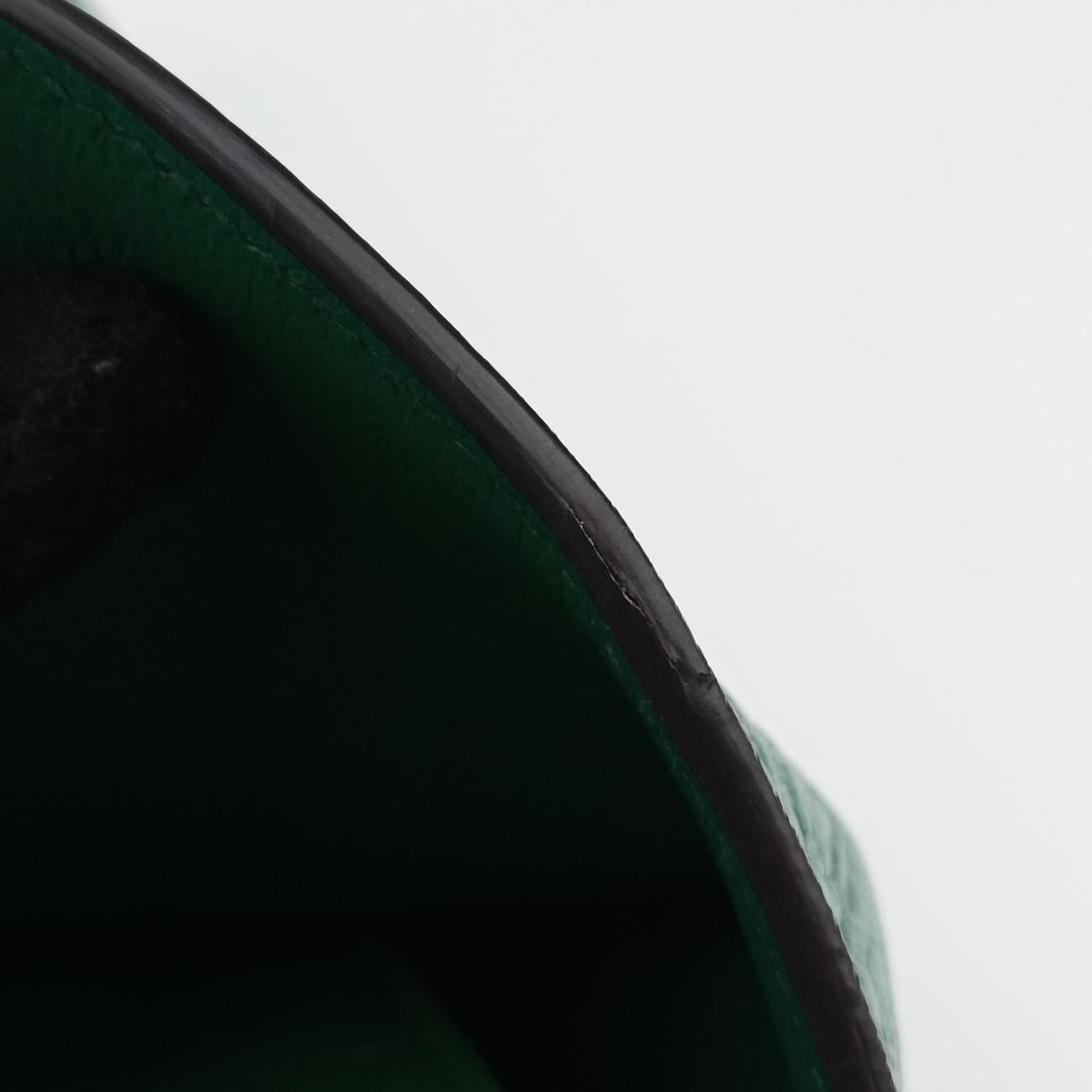 Thiara Envelope Animalier Green Leather E025648748