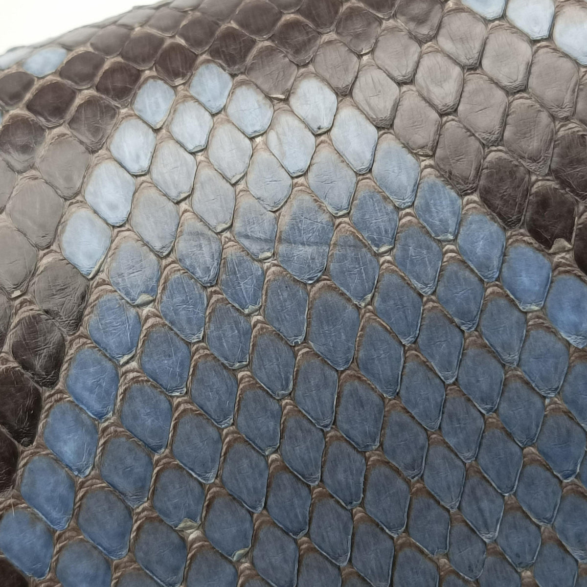 Pre-owned Gucci Craft Blue snakeskin 247209 shoulderbag | stylenewstar