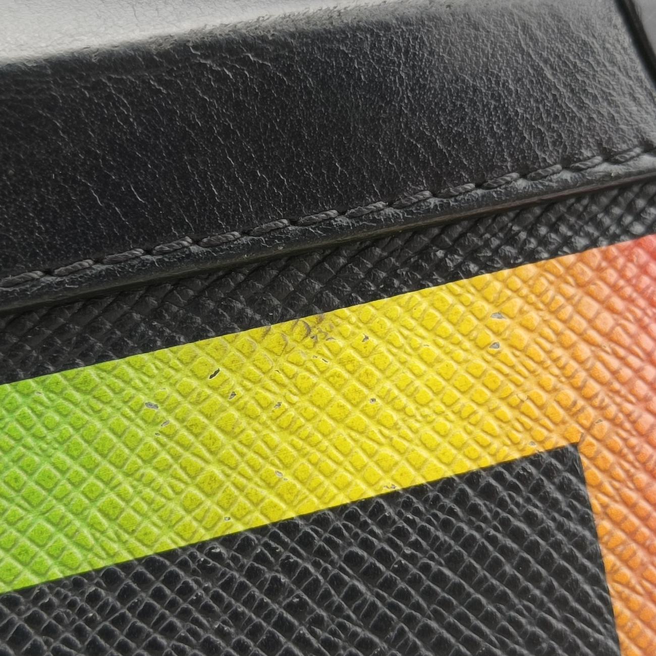 Soft Trunk Black x Rainbow Taiga DU3109