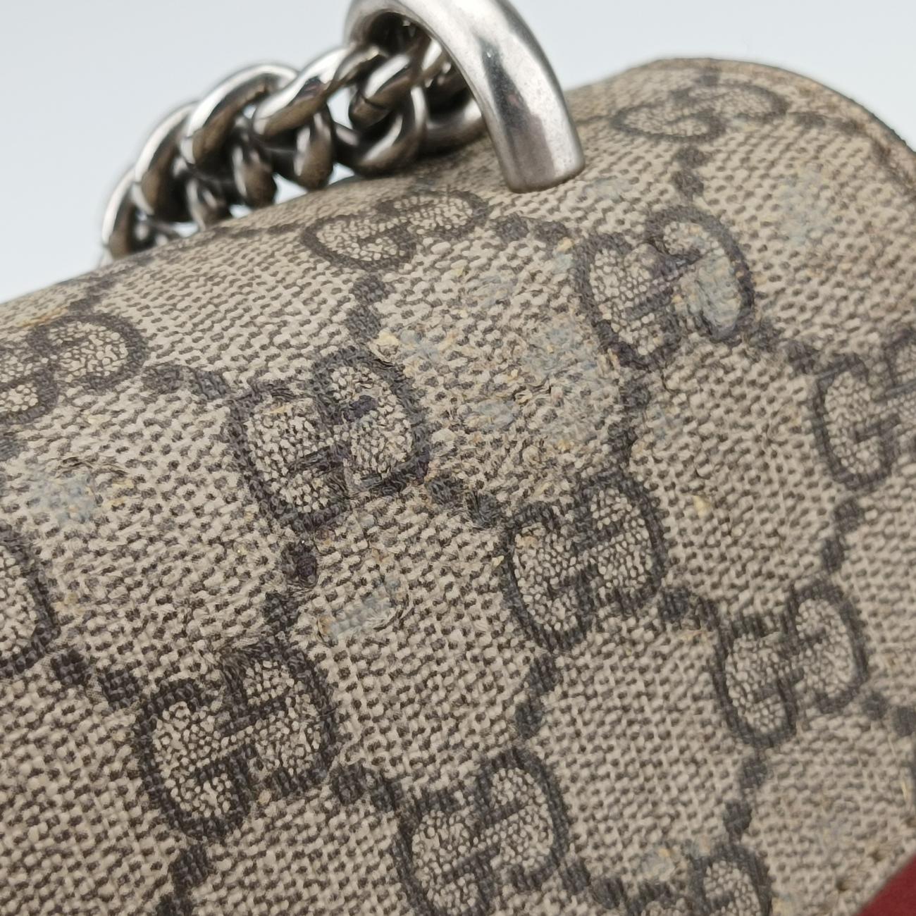 Pre-owned Gucci Dionysus Multicolour PVC coated canvas 400249 shoulderbag | stylenewstar