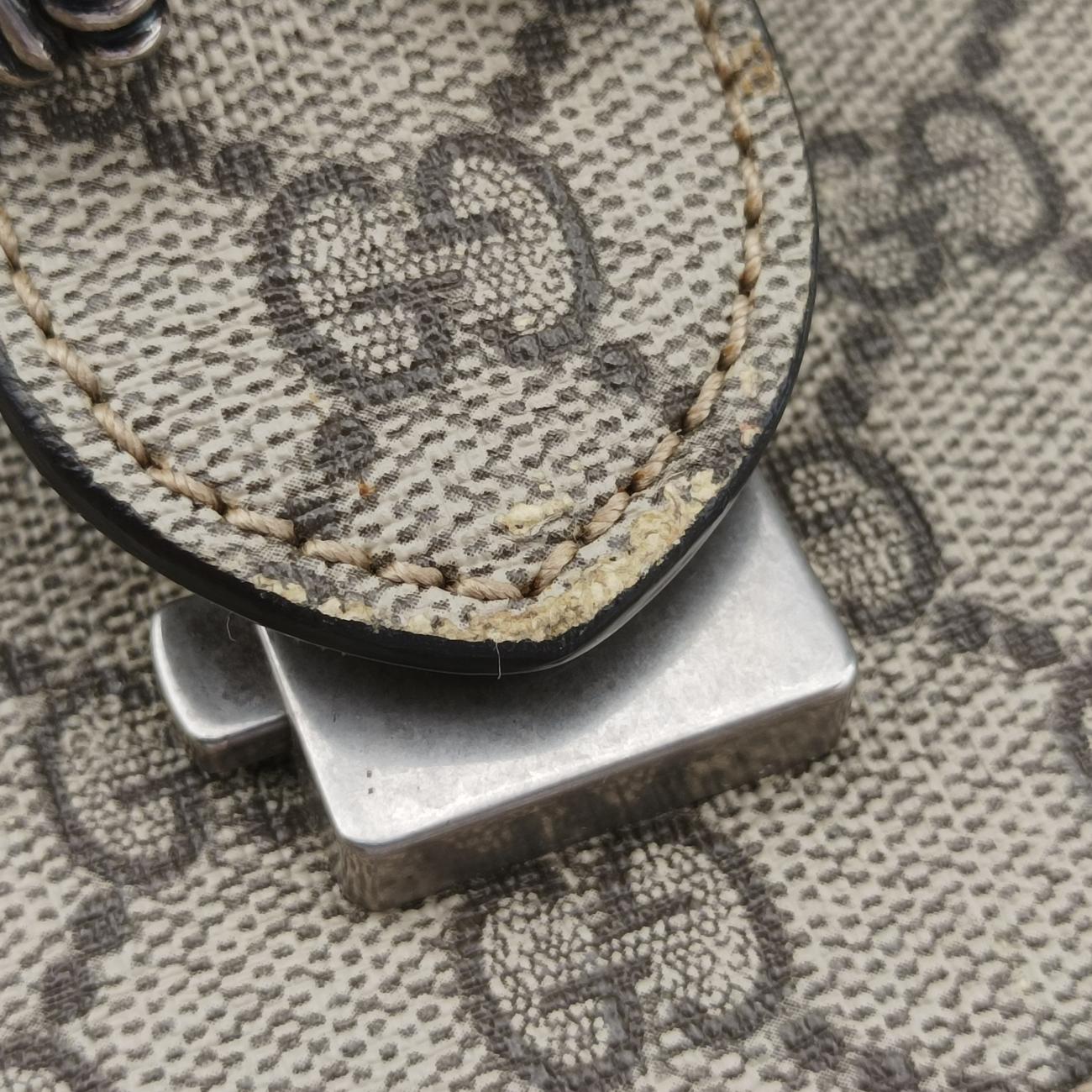 Secondhand Gucci Dionysus Multicolour PVC coated canvas 400235 shoulderbag | stylenewstar